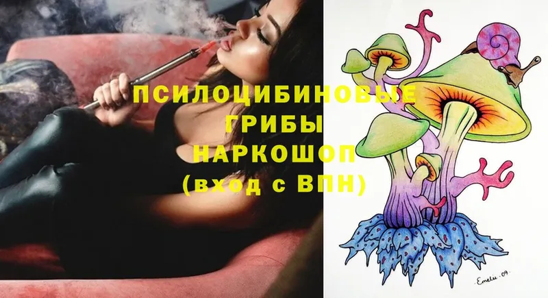 Галлюциногенные грибы Magic Shrooms  магазин продажи наркотиков  Заозёрный 